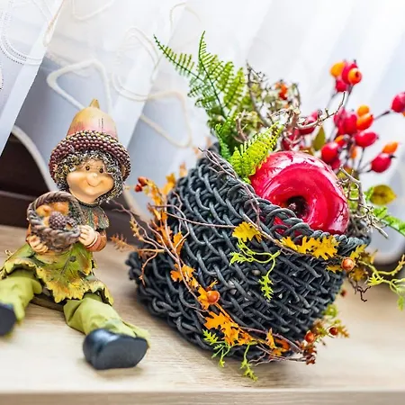 Гостевой дом Gaestehaus Emil Зёльден